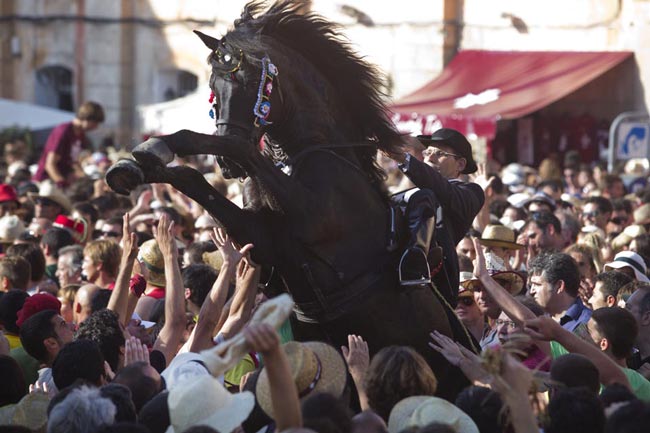 رم كردن يك اسب