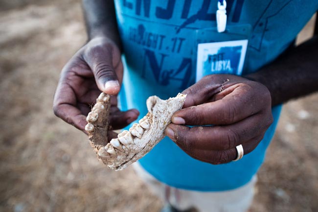 گورهاي دسته جمعي