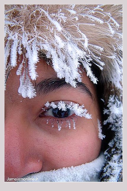 چهره یخ زده زن سوئدی