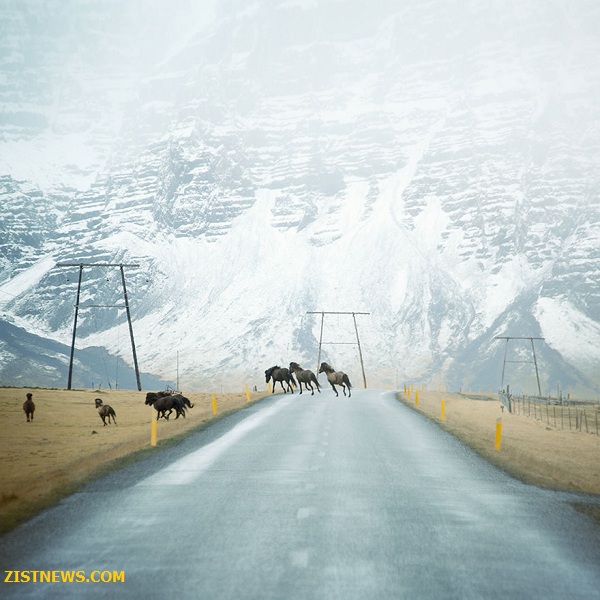 جاده های تنها!(+عکس)