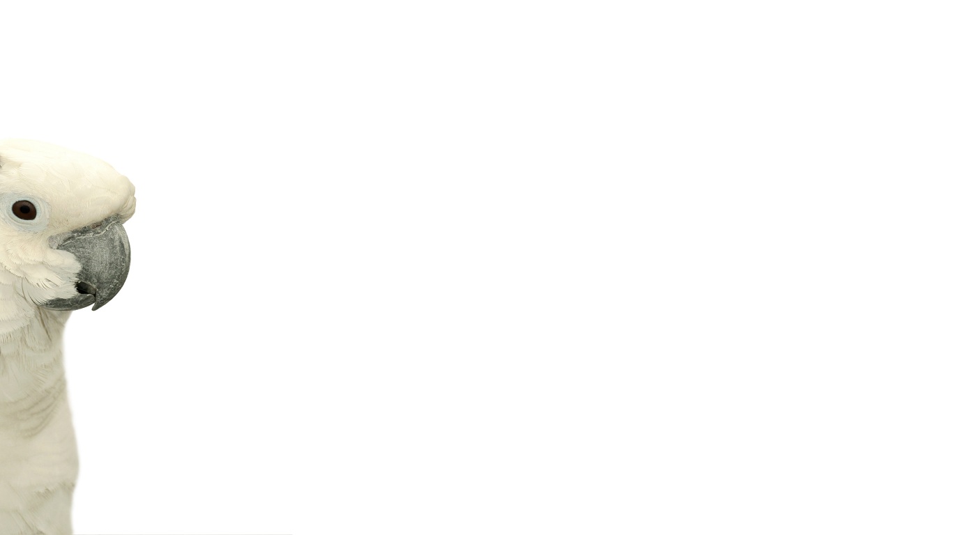 این تصاویر زیبا را ببینید!