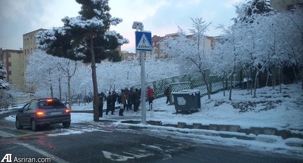 اولین برف زمستانی در تهران (عکس)