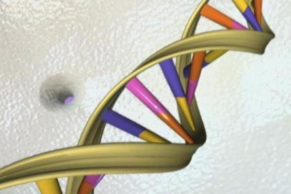 کشف روشی علمی برای تعیین سن کشف روشی علمی برای تعیین سن