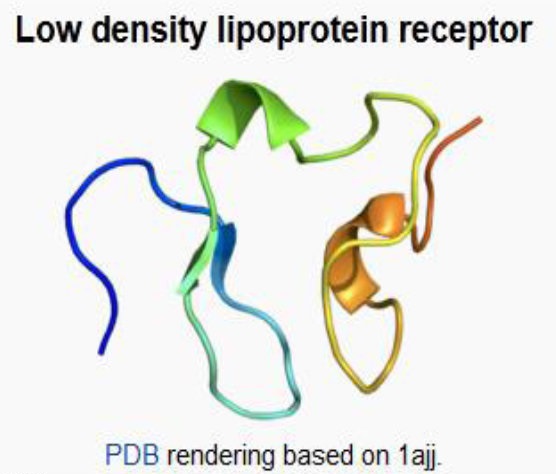 پرخورها را سرزنش نکنید، ژنها مقصرند! پرخورها را سرزنش نکنید، ژنها مقصرند!