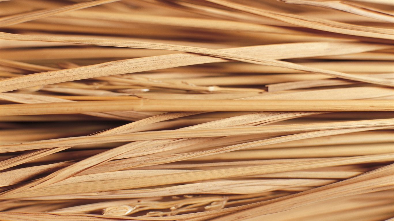 این تصاویر زیبا را ببینید!