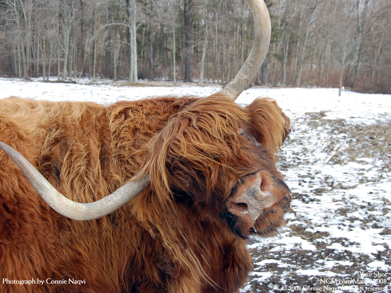 از نشنال جئوگرافیک(عکس)