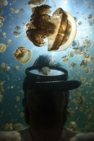 بدون شرح!(عکس)