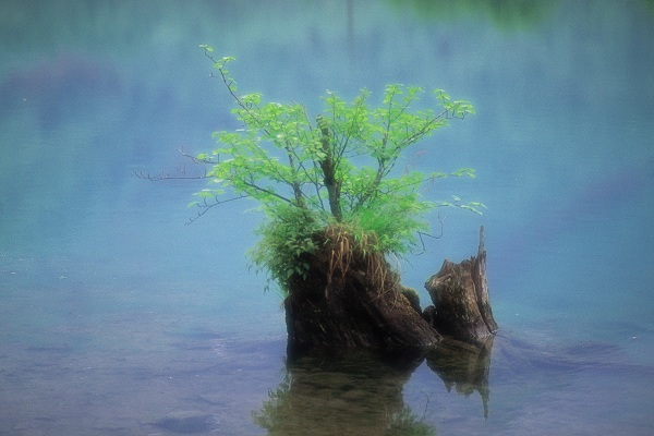 این تصاویر زیبا را ببینید!