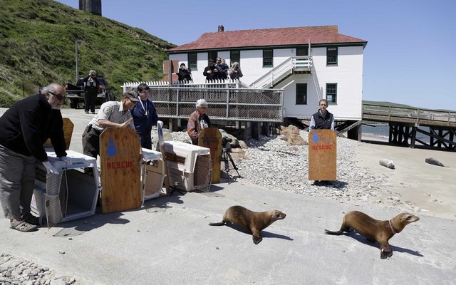 دیدنی های امروز دیدنی های امروز