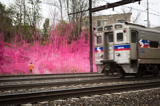 هنری زیبا در مسیر راه آهن (عکس)