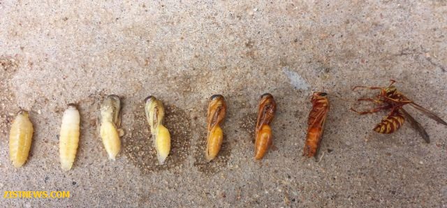 بدون شرح(عکس)