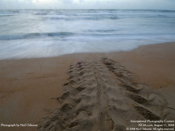 مناظر فوق العاده(عکس)