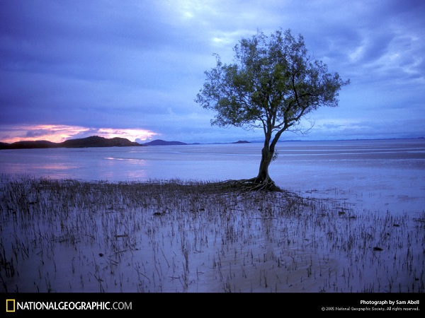 مناظر دیدنی(عکس)