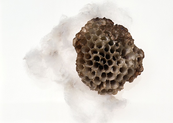 این تصاویر زیبا را ببینید!