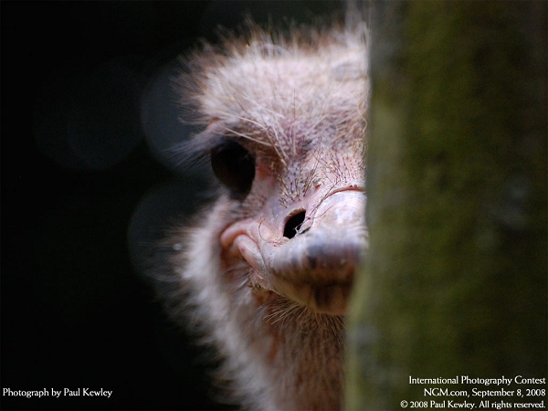 این تصاویر زیبا را ببینید!