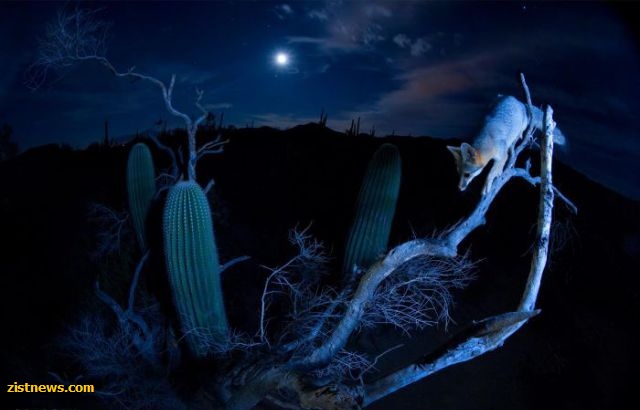 بدون شرح(عکس)