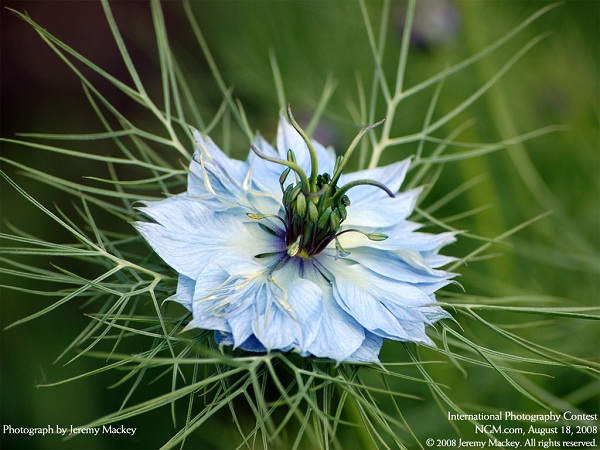 مناظر دیدنی!(عکس)