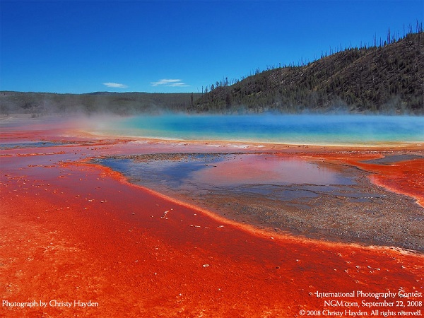 منتخبی از نشنال جئوگرافیک(عکس)