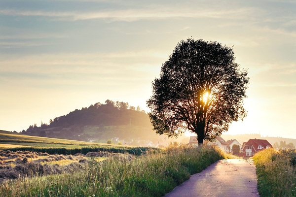 مناظر فوق العاده(عکس)