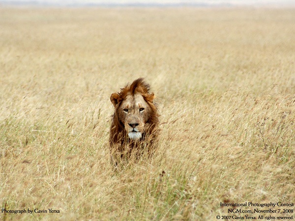 منتخبی از نشنال جئوگرافیک(عکس)
