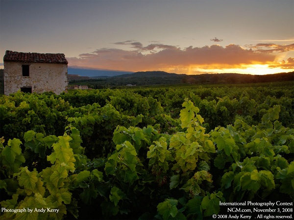 مناظر دیدنی(عکس)