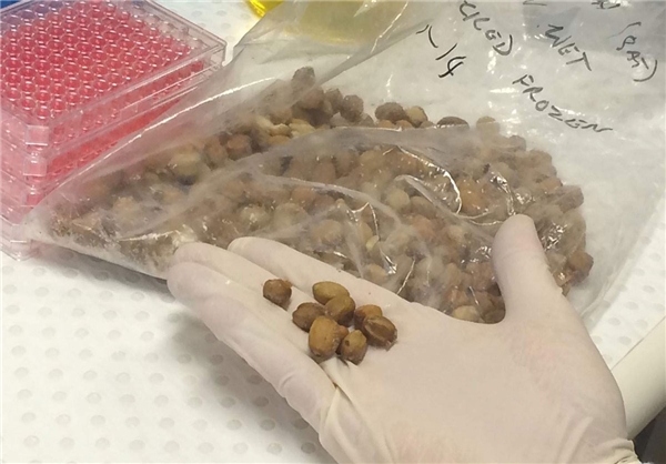 کشف مولکولی برای درمان سرطان+تصاویر کشف مولکولی برای درمان سرطان+تصاویر