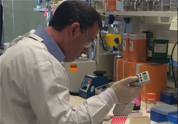 کشف مولکولی برای درمان سرطان+تصاویر کشف مولکولی برای درمان سرطان+تصاویر