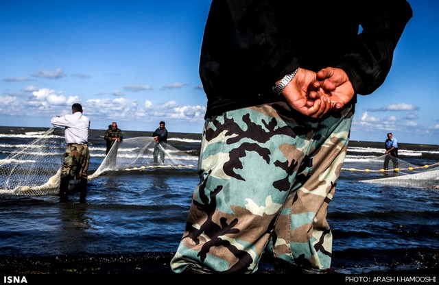 صید ماهی در شمال (عکس)