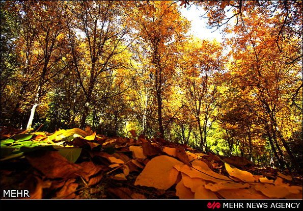 طبیعت پائیزی روستاهای خراسان (عکس)