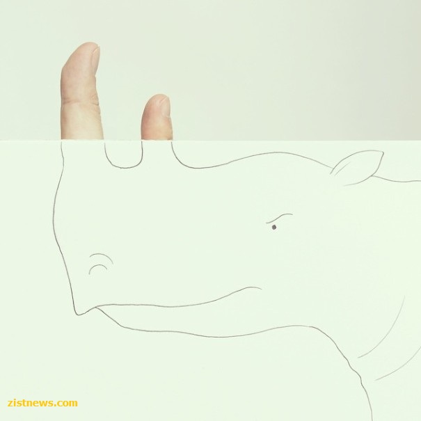 حیوانات انگشتی!(عکس)