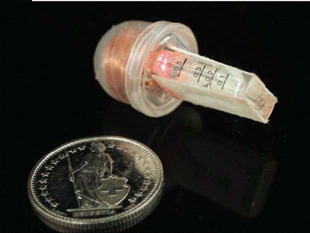 کنترل ژنها با قدرت ذهن برای نخستین بار کنترل ژنها با قدرت ذهن برای نخستین بار