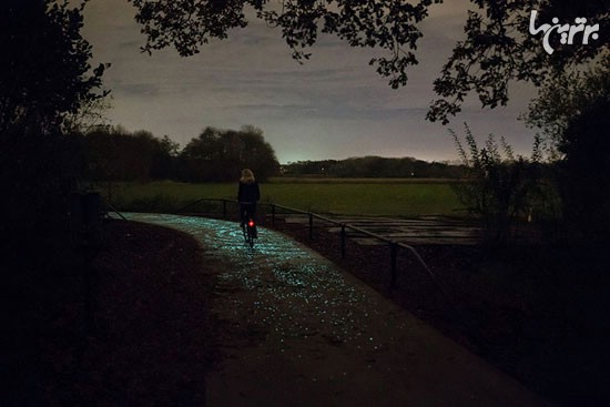 رویایی‌ترین مسیر دوچرخه سواری (عکس)