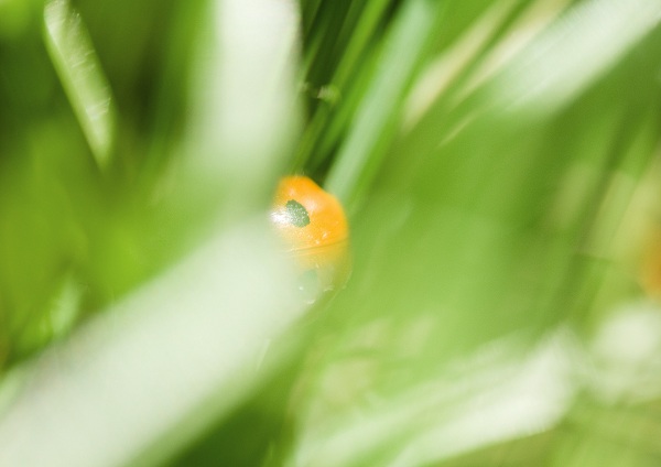 این تصاویر زیبا را ببینید!