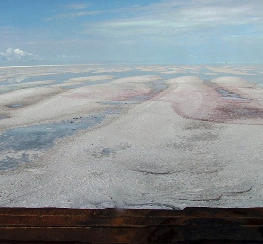 دریاچه ارومیه جان گرفت (عکس)