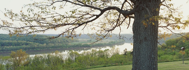 این تصاویر زیبا را ببینید!