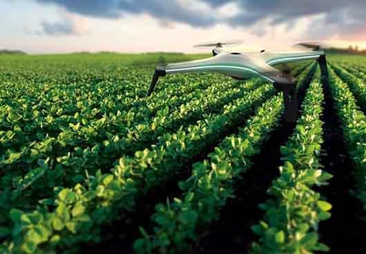 هواپیمای همه کاره+تصاویر هواپیمای همه کاره+تصاویر