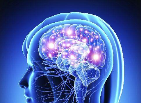 گرما و سرما چگونه مغز را فریب میدهند؟ گرما و سرما چگونه مغز را فریب میدهند؟