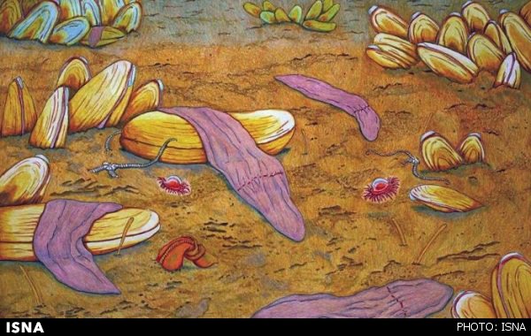 کشف جانوری که نه مغز دارد و نه چشم کشف جانوری که نه مغز دارد و نه چشم