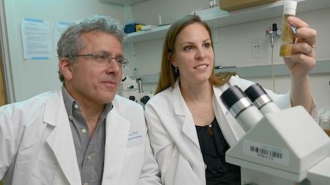 ژن بازدارنده تومور کشف شد