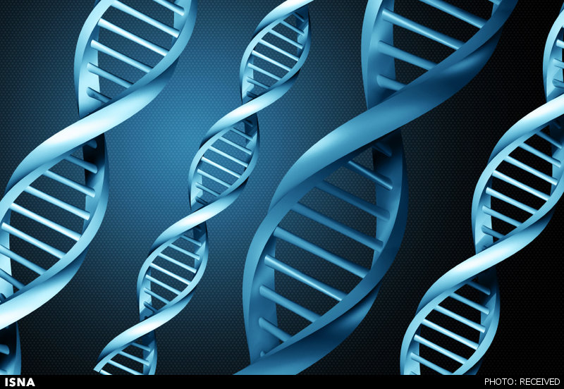 ژندرمانی سرطان با استفاده از نانوحاملهای پلیمری ژندرمانی سرطان با استفاده از نانوحاملهای پلیمری