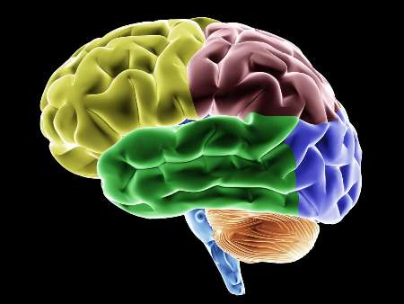 بالا رفتن از پله جوانی مغز را حفظ می کند