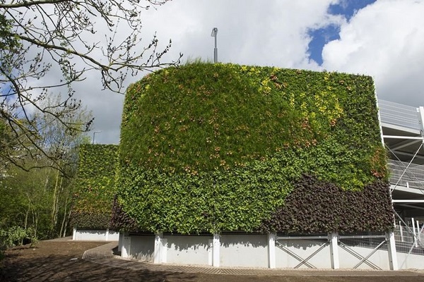 ساخت بزرگترین دیوار سبز اروپا +تصاویر ساخت بزرگترین دیوار سبز اروپا +تصاویر