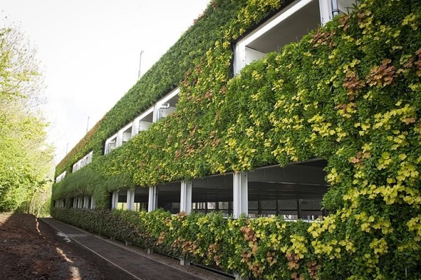 ساخت بزرگترین دیوار سبز اروپا +تصاویر ساخت بزرگترین دیوار سبز اروپا +تصاویر