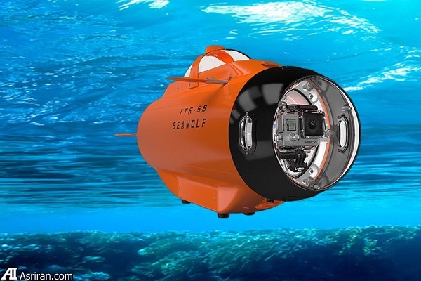 لذت تصویربرداری اکشن در زیر آب با گرگ دریا!