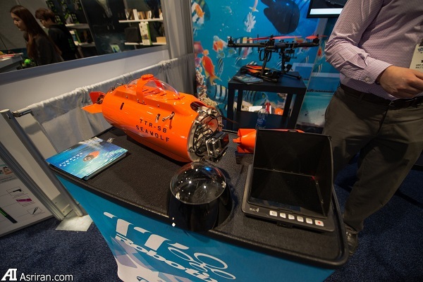 لذت تصویربرداری اکشن در زیر آب با گرگ دریا!