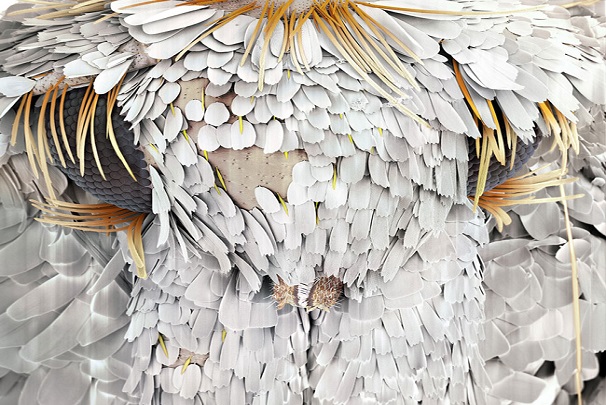 نگاهی به چشمان میکروسکوپی حشرهها نگاهی به چشمان میکروسکوپی حشرهها