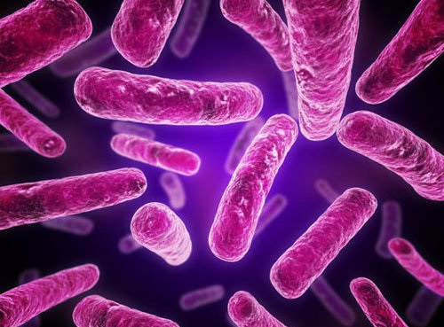 حساسترین آزمایش جهان برای شناسایی بیماریهای عفونی حساسترین آزمایش جهان برای شناسایی بیماریهای عفونی