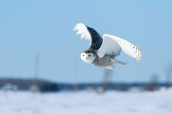 بهترین تنظیمات دوربین جهت فریز حرکت بهترین تنظیمات دوربین جهت فریز حرکت