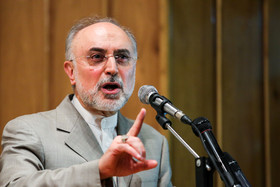 صالحی: هیچ پیوست‌ محرمانه‌ای درباره توافق هسته‌ای نداریم