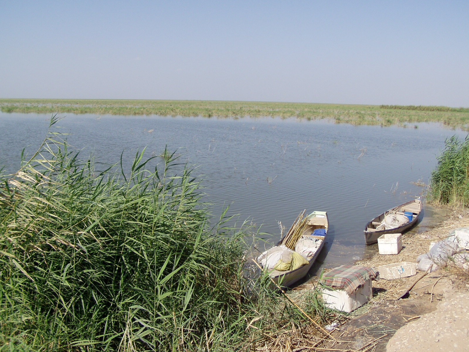 ابتکار در گفتگو با 